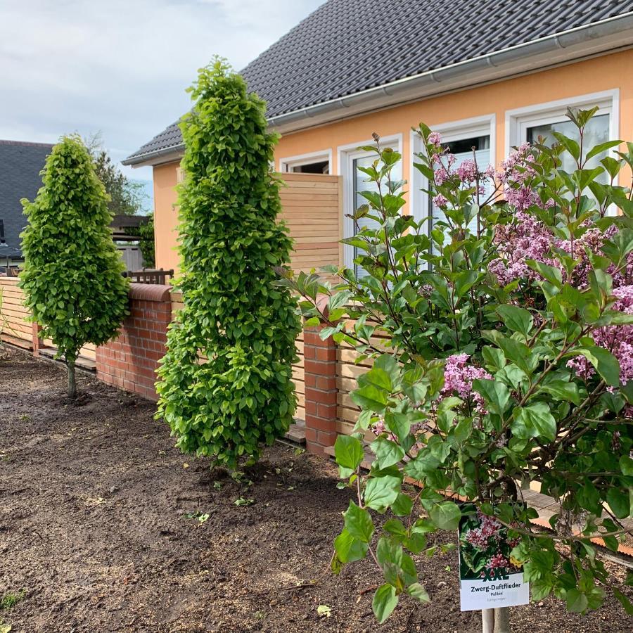 Ferienwohnung-Strandspaziergang, Grosse Wohnung Börgerende-Rethwisch Exterior foto